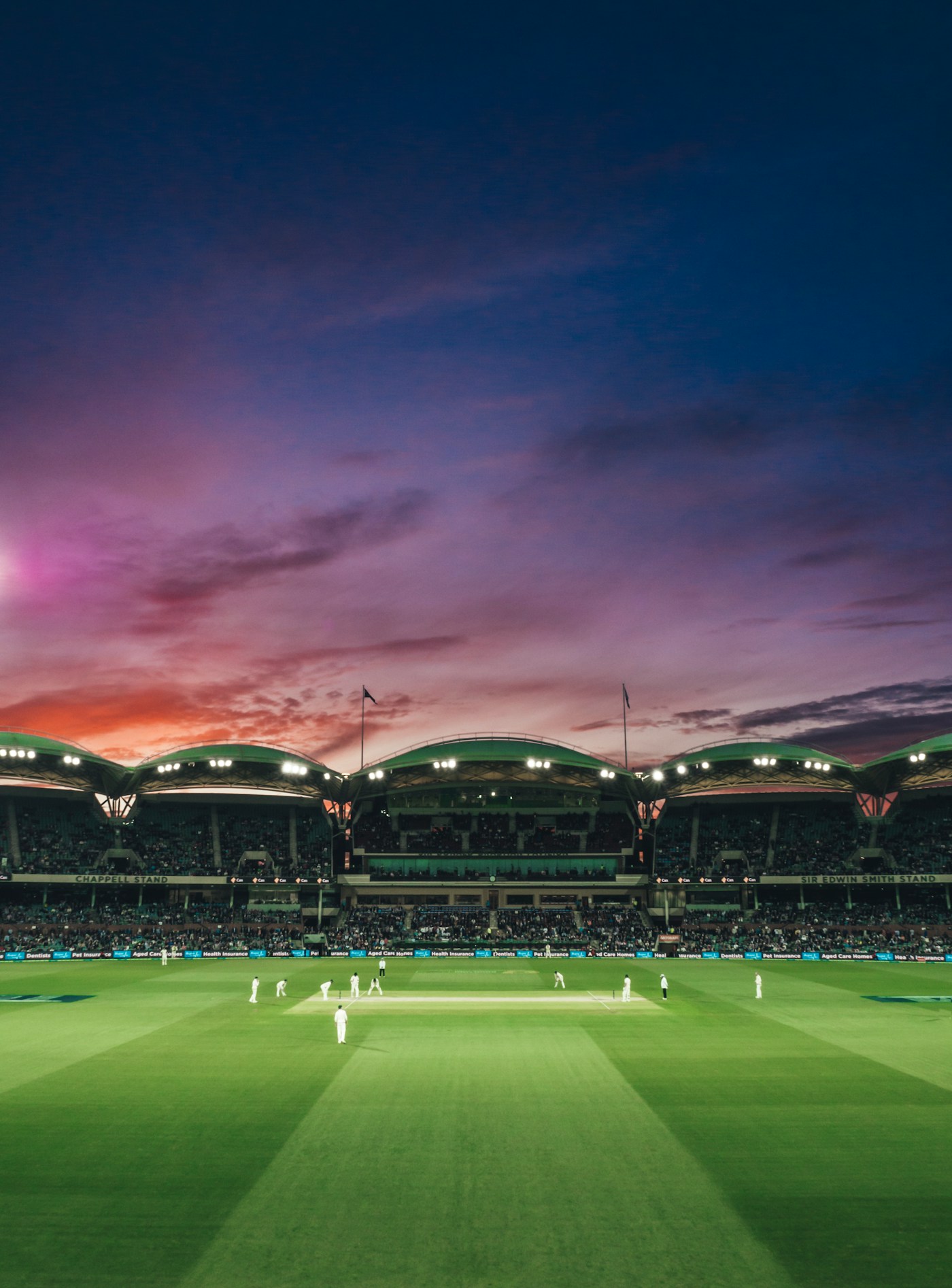 Cricket under lights at dusk